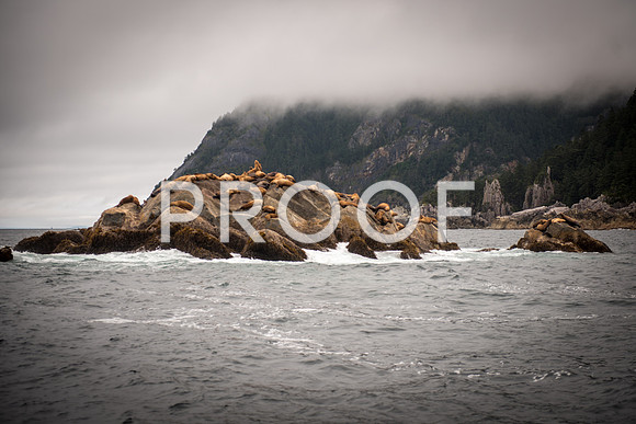 Fishing_750_9463