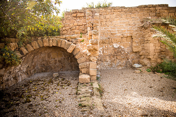 0094_2015_Israel_Trip_3581