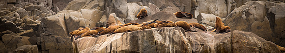 2021_Alaskan_Vaca_2097
