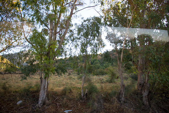 0601_2015_Israel_Trip_4226