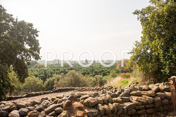 2018_Israel_Trip_04_03-7287