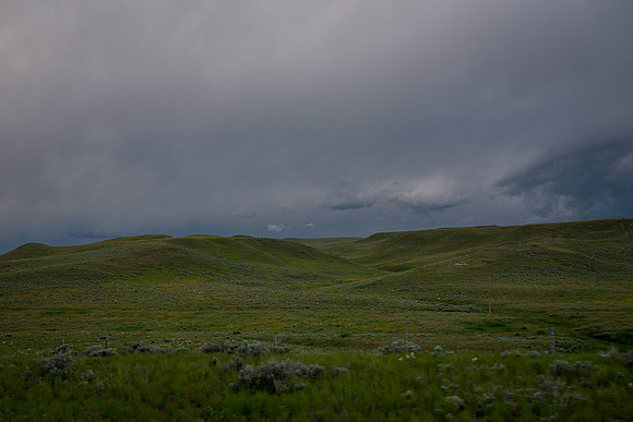 2019_Alaska_Trip_Day02_3264