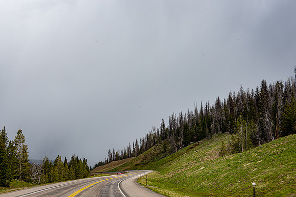 2019_Alaska_Trip_Day03_3523