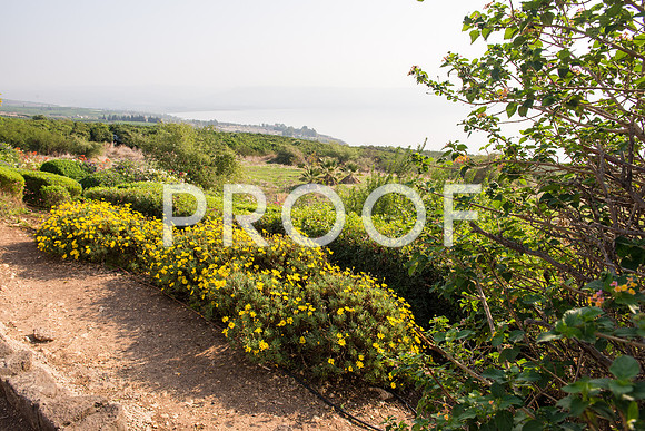 2018_Israel_Trip_04_02-Beatitudes7241