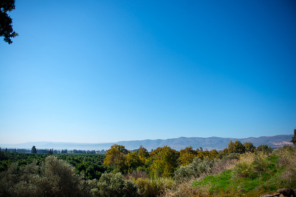 0740_2015_Israel_Trip_4366
