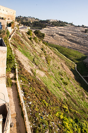 1409_2015_Israel_Trip_5079