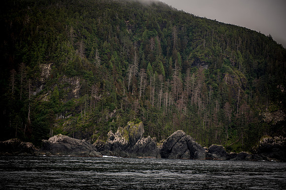 Fishing_750_9626