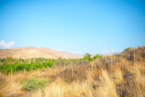 0550_2015_Israel_Trip_4040