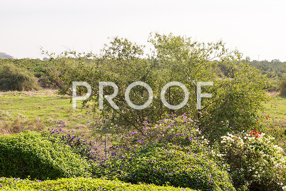 2018_Israel_Trip_04_02-Beatitudes7246