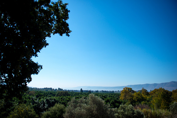 0739_2015_Israel_Trip_4365