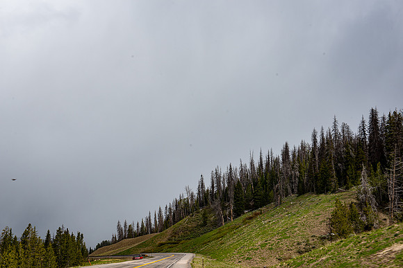 2019_Alaska_Trip_Day03_3526