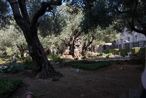 1259_2015_Israel_Trip_4889