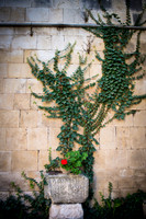 1648_2015_Israel_Trip_5319