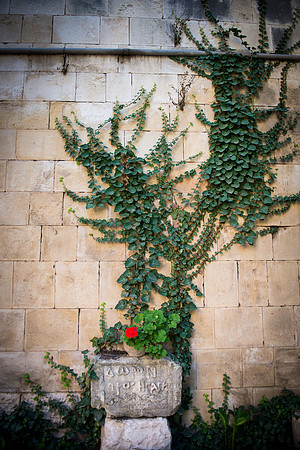 1648_2015_Israel_Trip_5319