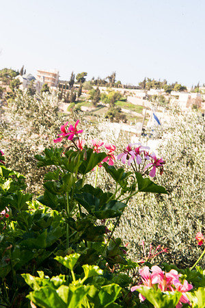 1417_2015_Israel_Trip_5087