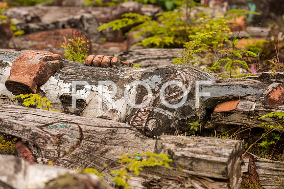 KlawockTP_610_1886