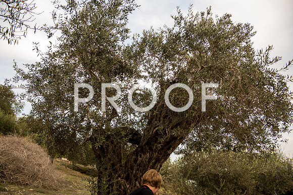 2018_Israel_Trip_03_07-NazVillage7125