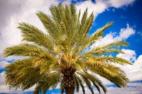 0171_2014_Family_Cruise_Grand_Turk_6650