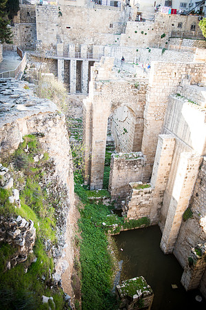 1667_2015_Israel_Trip_5338