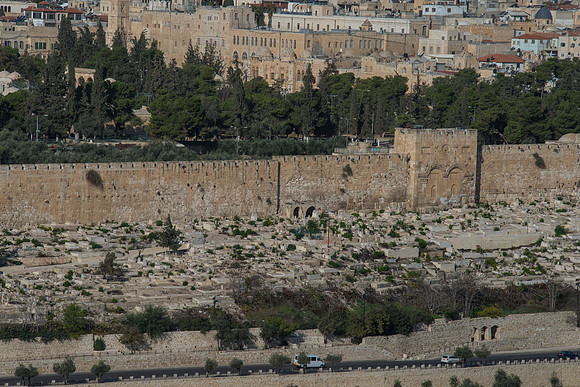 1170_2015_Israel_Trip_4800