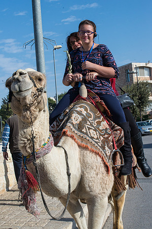 1199_2015_Israel_Trip_4829