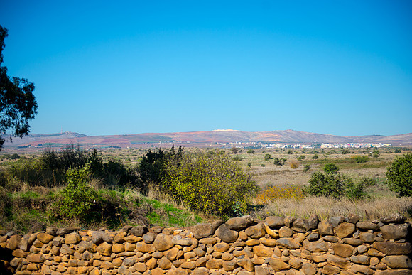 0721_2015_Israel_Trip_4347
