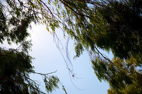 0753_2015_Israel_Trip_4379