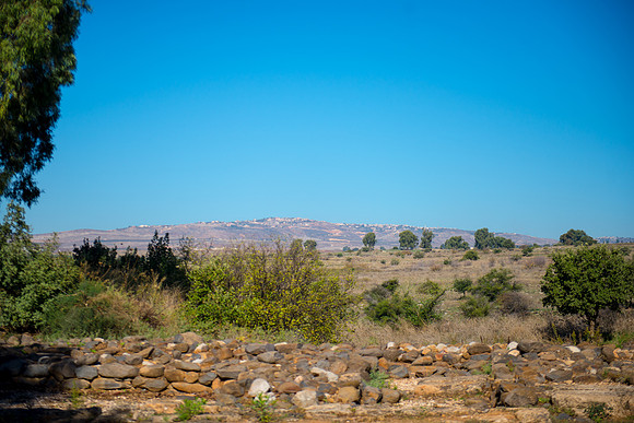 0716_2015_Israel_Trip_4342
