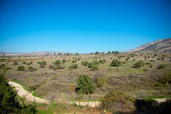 0730_2015_Israel_Trip_4356