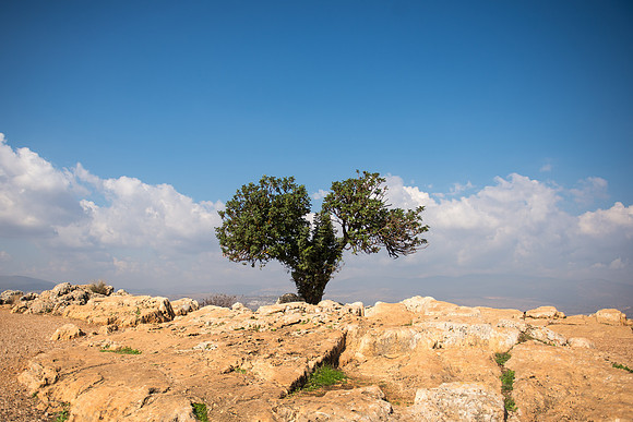 0436_2015_Israel_Trip_3925