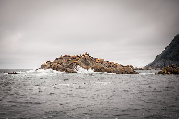 Fishing_750_9455