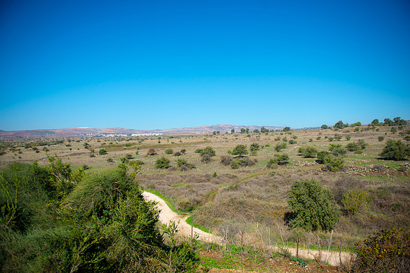 0731_2015_Israel_Trip_4357