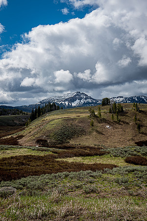 2019_Alaska_Trip_Day03_3511