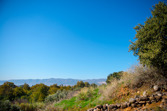 0741_2015_Israel_Trip_4367