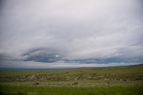 2019_Alaska_Trip_Day02_3294