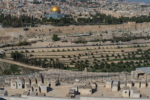 1187_2015_Israel_Trip_4817
