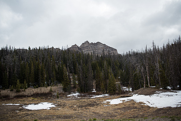 2019_Alaska_Trip_Day03_3487