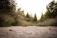 1916_2015_Israel_Trip_5596