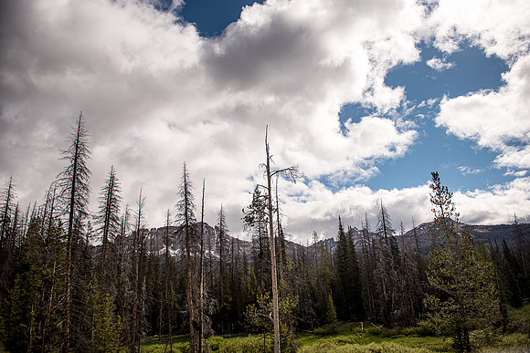 2019_Alaska_Trip_Day03_3469
