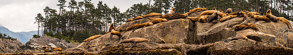2021_Alaskan_Vaca_2066