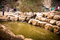 0236_2015_Israel_Trip_3724