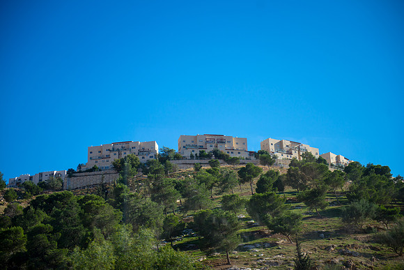 0801_2015_Israel_Trip_4427