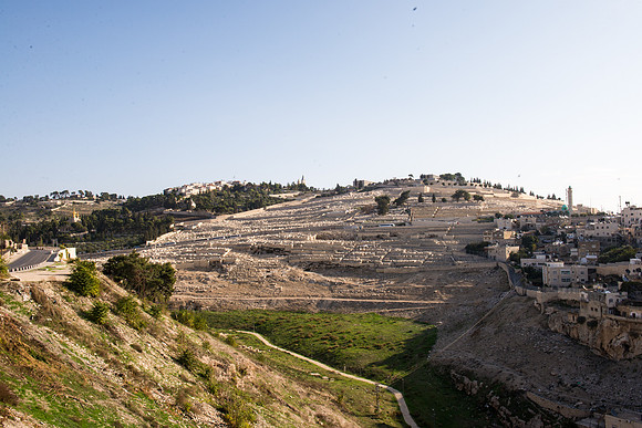 1401_2015_Israel_Trip_5071