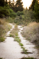 1909_2015_Israel_Trip_5589