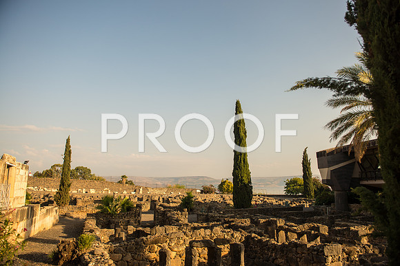 2018_Israel_Trip_04_06-7341