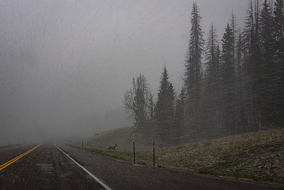 2019_Alaska_Trip_Day03_3531