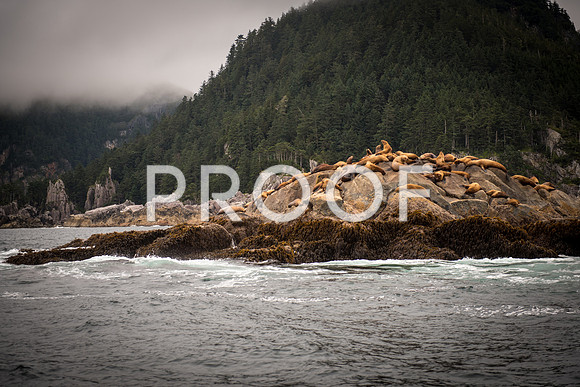 Fishing_750_9467