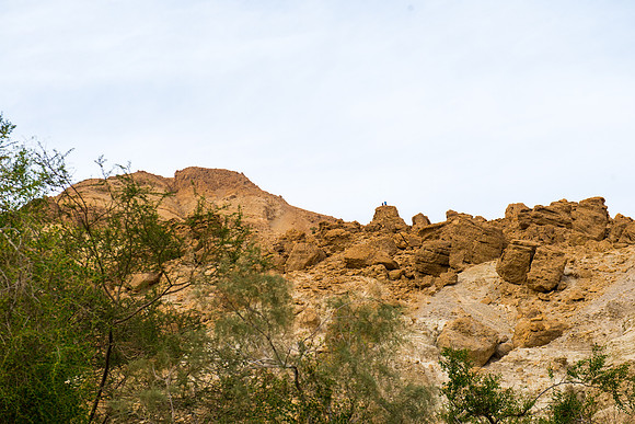 1017_2015_Israel_Trip_4644