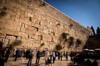 1566_2015_Israel_Trip_5236