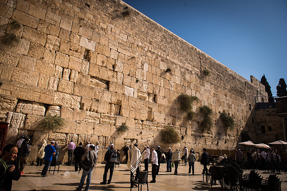 1566_2015_Israel_Trip_5236